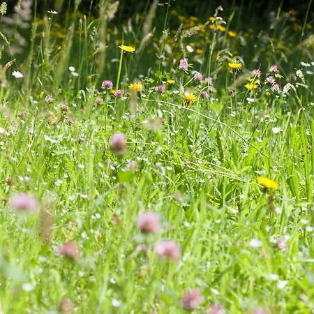 Caritas Tagungszentrum 2* Freiburg im Breisgau