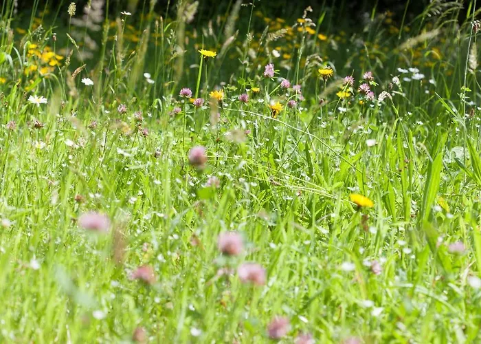 Caritas Tagungszentrum 2* Freiburg im Breisgau