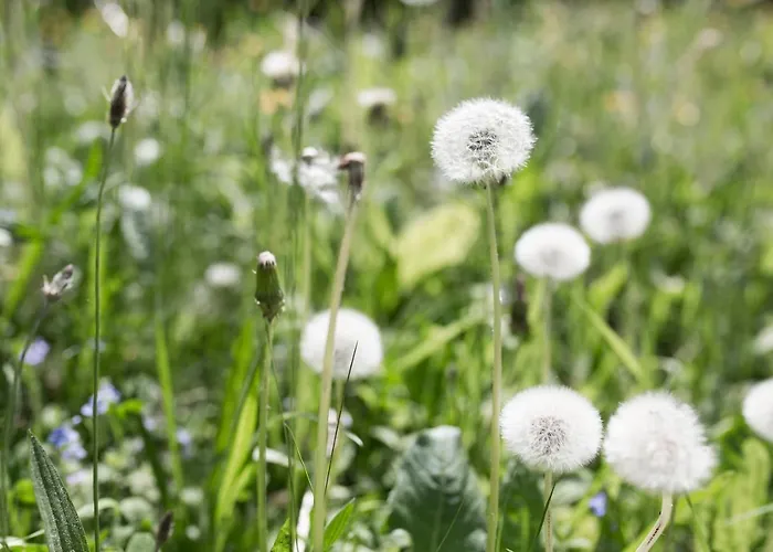 Caritas Tagungszentrum Hotel 2*